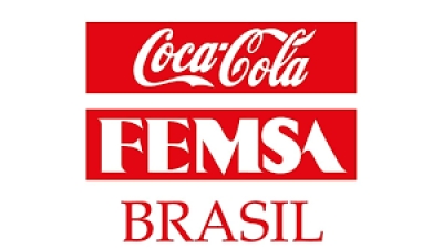  - FEMSA.png